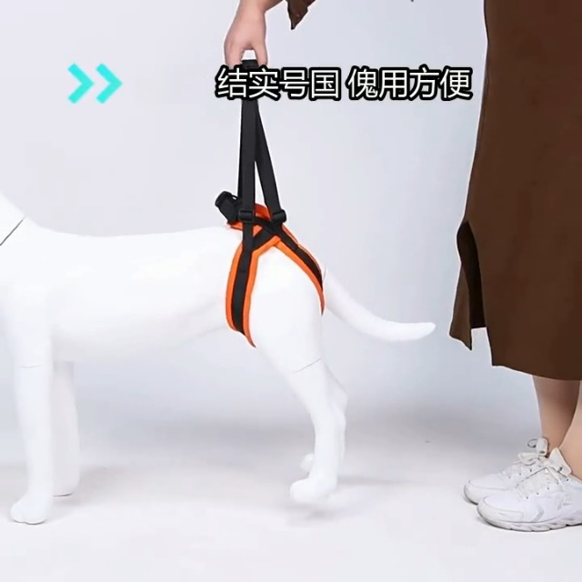 Amazon | GIIPET 犬用介護ハーネス 後足用 犬 歩行補助 老犬 後ろ足 犬